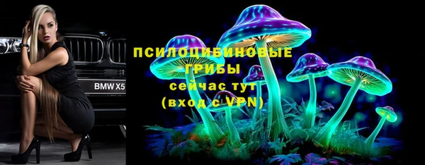 spice Алексеевка
