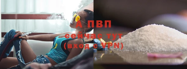 apvp Алексин